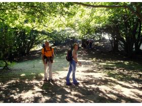 photo coins arrondis